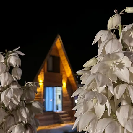 Sampiyon Holiday home *